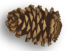 Captcha image 5805